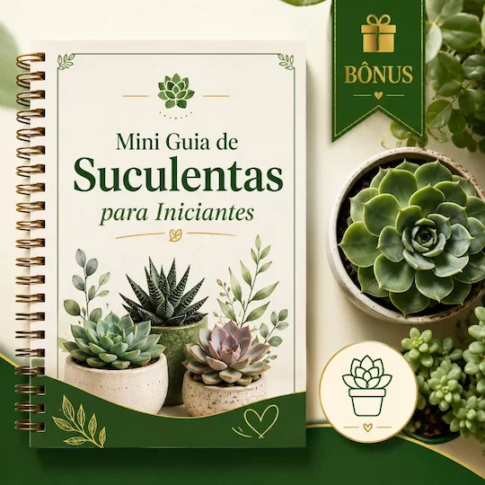 Mini Guia de Suculentas para Iniciantes 🪴